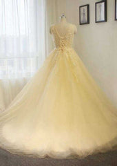 Appliqued V-Neck Tulle A-Line Wedding Dress with Chapel Train