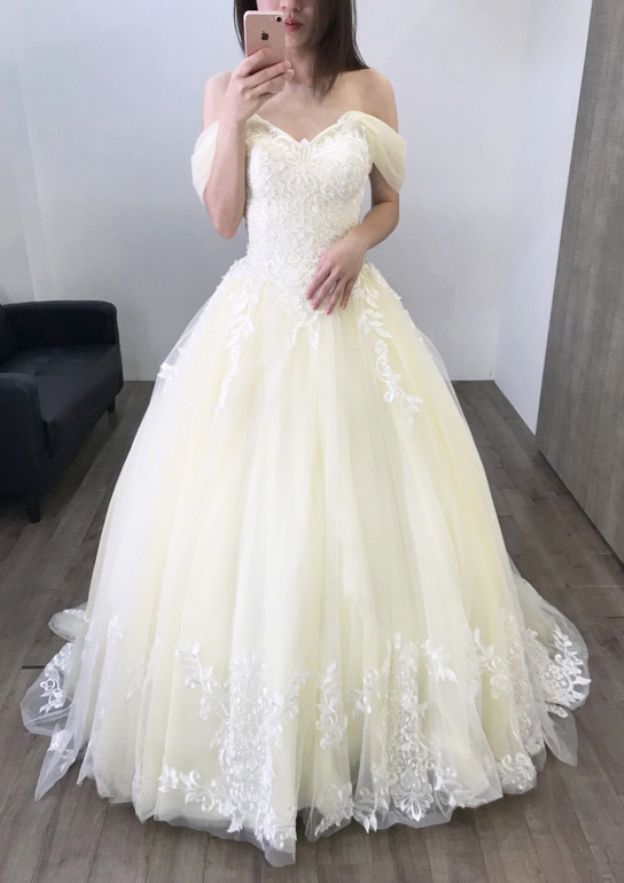 Appliqued Lace Sweep Train Ball Gown Wedding Dress with Sleeveless Off-The-Shoulder Design in Tulle