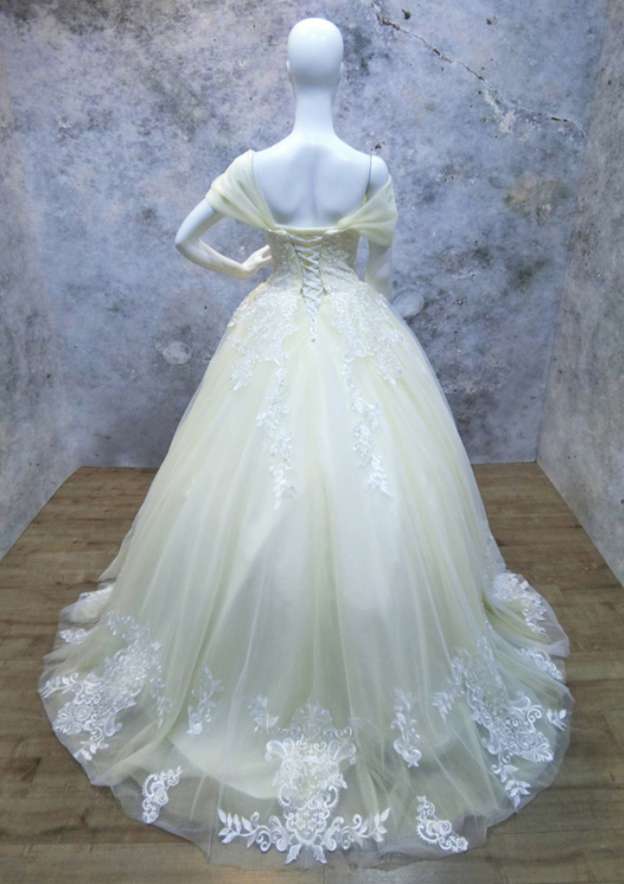 Appliqued Lace Sweep Train Ball Gown Wedding Dress with Sleeveless Off-The-Shoulder Design in Tulle