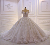 Off-the-shoulder A-Line Wedding Dress With Long Sleeves Appliques BM bride