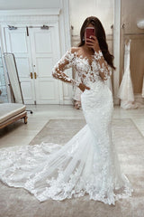 Beautiful Long Mermaid Long Sleeves Lace V-neck Wedding Dress-BMbride.com